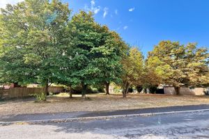 Green Space Opposite- click for photo gallery